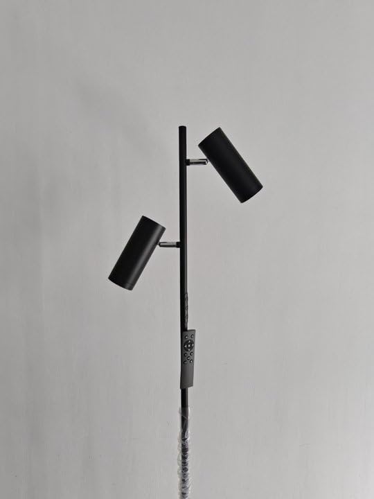 Spotlight Floor Lamp, Tall LED Standing Lamp with Remote/Touch Control, 2700K-6500K, 350°Rotating Head Standing Lamp, Reading Floor Lamp for Living Room, Bedroom, Office & Wall Art, Dual Head
