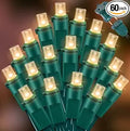 LAMPHOME 60 LED Warm White String Light - LED Christmas Lights, Mini led Lights for Indoor Outdoor Home Holiday Party Wedding Independence Day Decoration
