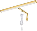 LED Picture Lights for Paintings Plug in, Adjustable Art Light Gallery Wall Light for Display Art Work, 16inch 6W 3000K Warm White, Gold Finish CRI80+