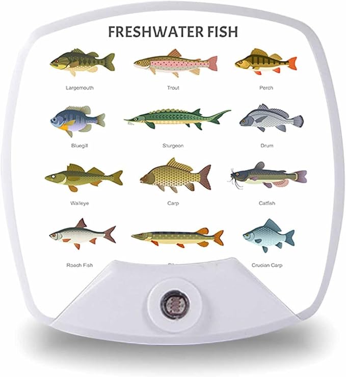 LED Square Night Light,Lake Fish LED Night Light Plug into Wall with Dusk to Dawn Light Sensor White Energy Efficient Nightlight for Bedroom Bathroom Hallway Living Room Kitchen