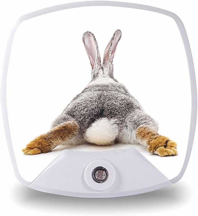 LED Square Night Light,Easter Grey Hare Rabbit Bunny Tail LED Night Light Plug into Wall with Dusk to Dawn Light Sensor White Energy Efficient Nightlight for Bedroom Hallway LivingRoom Kitchen