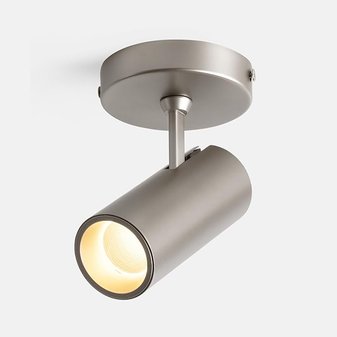 Spotlight Dimmable Ceiling Spot Lights Indoor LED Art Light 12W Accent Lighting for Home Corridor Living Room Bedroom, 3000K CRI97+ Brushed Nickel Finish