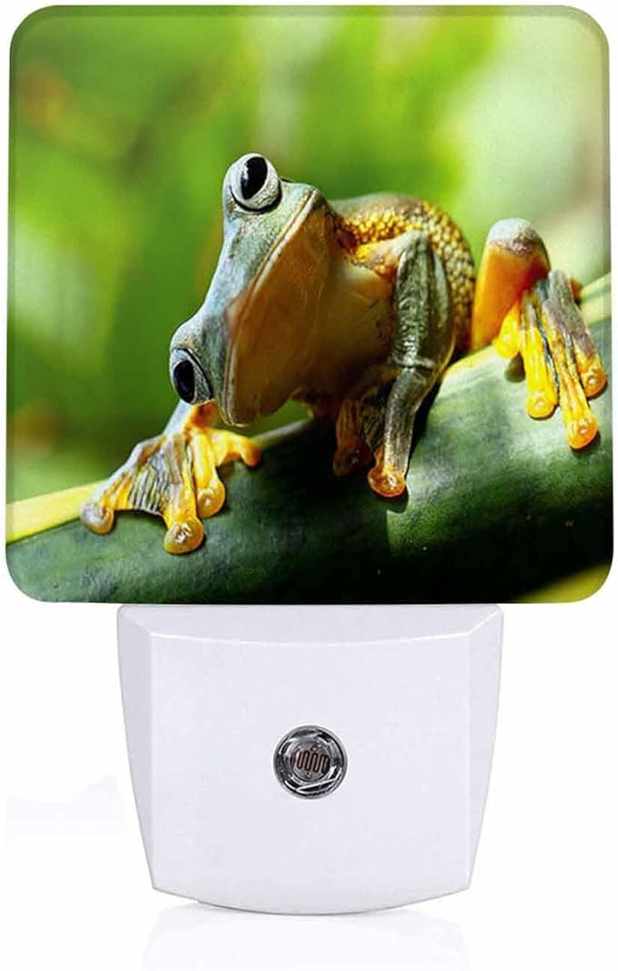LED Night Light,Green Small Frog On Leaf LED Night Light Plug into Wall with Dusk to Dawn Light Sensor White Energy Efficient Nightlight for Bedroom Bathroom Hallway Living Room Kitchen