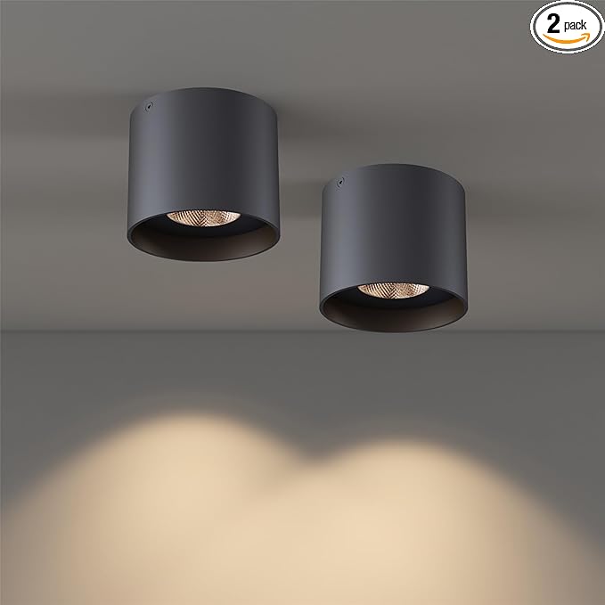 Ceiling Light Fixture, Flush Mount Ceiling Lights LED Dimmable Cylinder Ceiling Light Spot Light for Living Room Hallway Kitchen Dining Room Foyer 3000K 14.5W (Black) 2-Pack