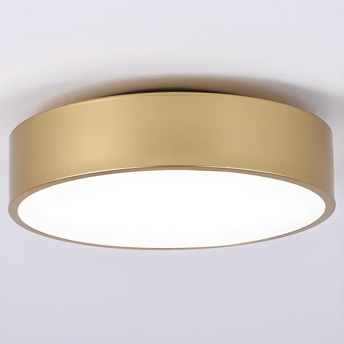 Modern Gold Flush Mount Ceiling Light, 2-Lights Round Ceiling Light, Minimalistic Ceiling Lamp Acrylic Shade Lighting Fixture for Bedroom Laundry Room Bathroom Hallway(11.8 Inch)