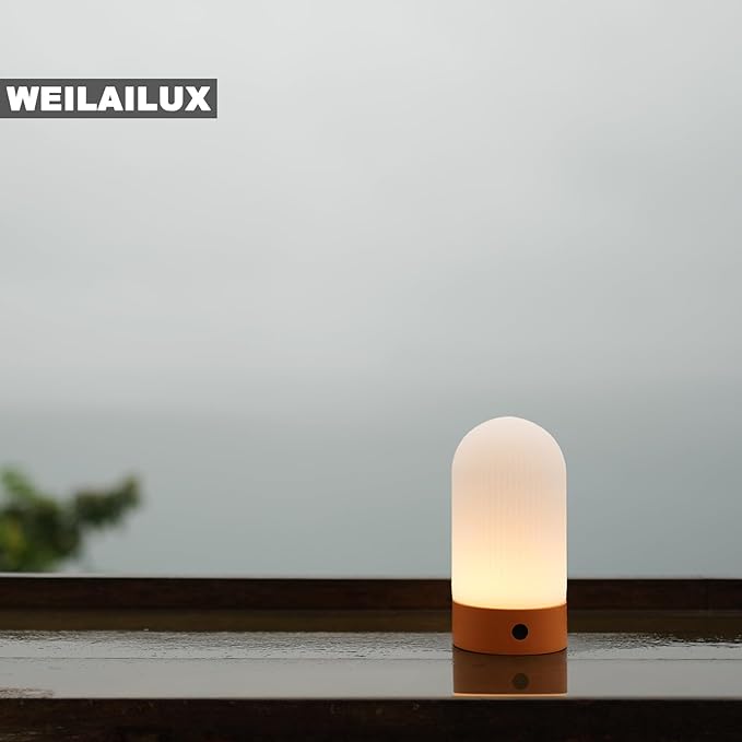 Battery Operated Shower Lamp Waterproof, Small Portable Cordless Table Lamp Rechargeable, Touch Dimmable Mood Light for Home/Patio/Dining/Outdoor (Black)