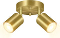 BoostArea LED 2 Light Track Lighting Kit, LED Track Lighting Fixtures, Gold Round Ceiling Spot Lighting, Flexibly Rotatable Light Head for Kitchen, Living Room, Bedroom, GU10 Bulb Not Included