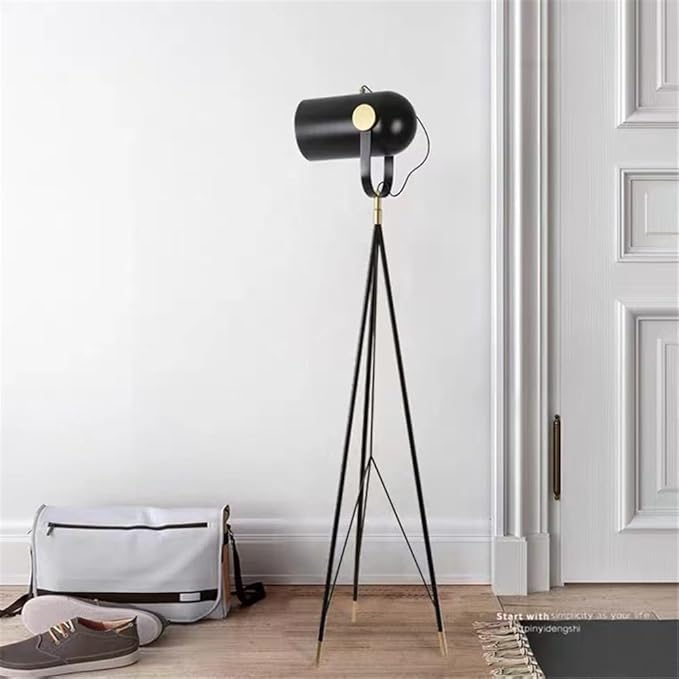 Post-Modern Nordic Creative LED Floor Lamp - Special Decorative Light for Villa Living Room & Hotel Study Room (Style 103)
