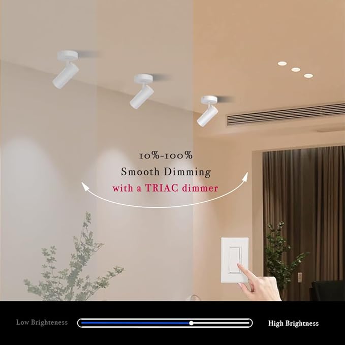 LED Dimmable Ceiling Spotlight Adjustable Ceiling Mounted Directional Spot Light 4.72'' Aluminum Indoor Monopoint Light for Living Room Painting CRI 98 12W 3000K White
