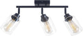 Modern 3-Light Track Lighting Fixtures Ceiling, Light Fixtures Ceiling Mount with Clear Glass Shades, Matte Black Kitchen Ceiling Light Fixtures for Bedroom, Living Room & E26 Base
