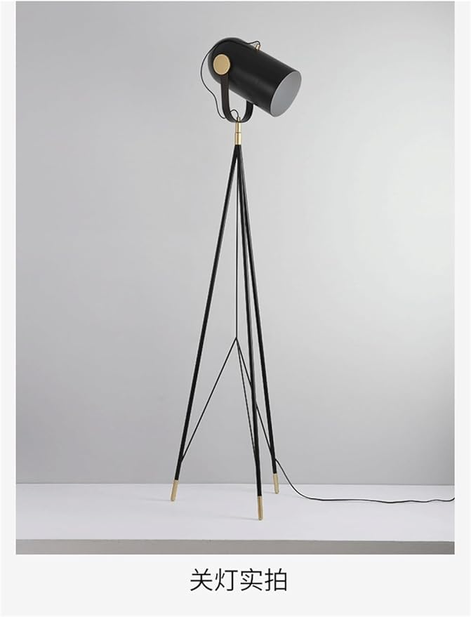 Post-Modern Nordic Creative LED Floor Lamp - Special Decorative Light for Villa Living Room & Hotel Study Room (Style 103)
