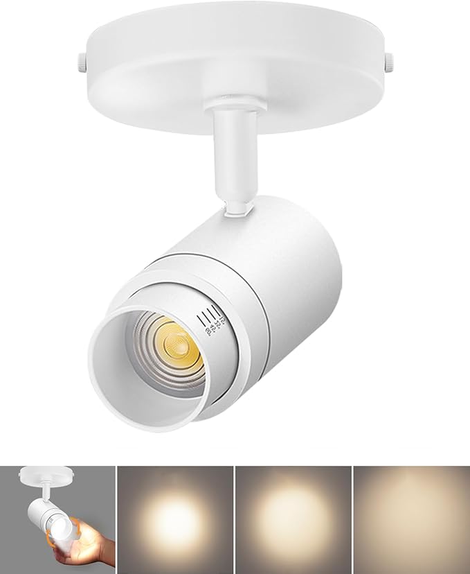 Zoomable LED Ceiling Spot Lights Indoor Adjustable Ceiling Spotlight Fixture Directional Ceiling Light Dimmable Flush Mount Can Accent Lighting for Kitchen Art Picture - 12W 1000lm White 4000K