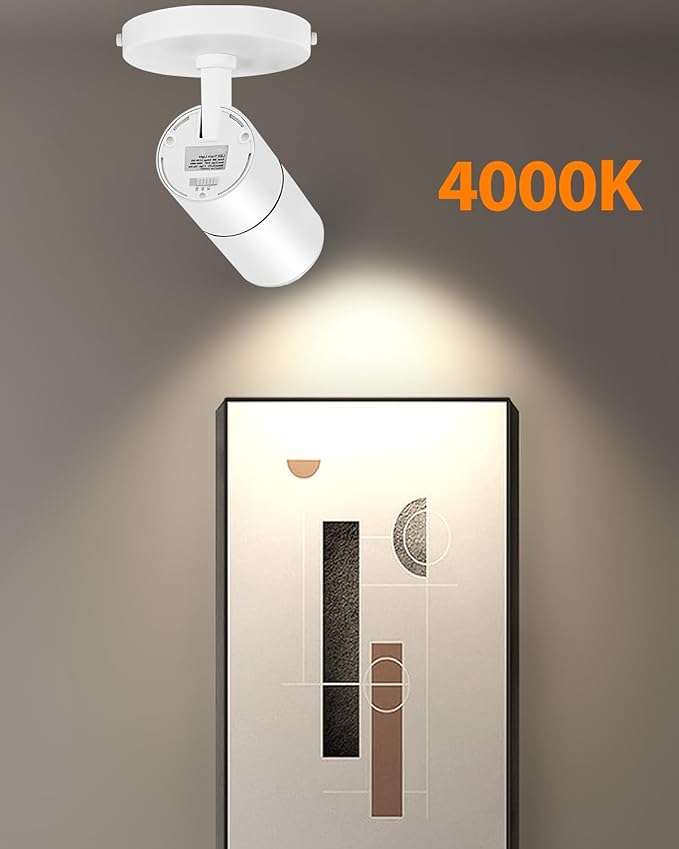 Zoomable LED Ceiling Spot Lights Indoor Adjustable Ceiling Spotlight Fixture Directional Ceiling Light Dimmable Flush Mount Can Accent Lighting for Kitchen Art Picture - 12W 1000lm White 4000K