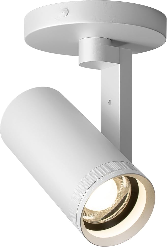 Aisilan White LED Zoomable Ceiling Spotlight 12W Dimmable Adjustable Beam Angle 10-55° Swivelable Angle CRI 97 Matt Aluminum Accent Lamp for Corridor Mural Living Room, Warm White 3000K
