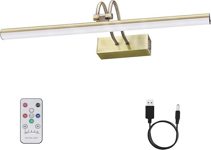 Picture Light,Picture Lights for Wall Cordless,20" Picture Lights with Timer and Dimmable,Battery Wall Lights for Display Gallery Painting Art Frame Portrait-AB
