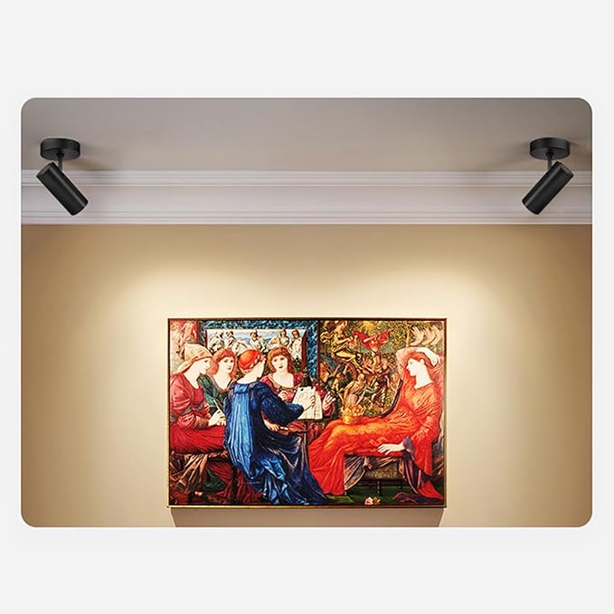 LED Dimmable Ceiling Spotlight Adjustable Angle Flush Mounted Directional Spot Light Aluminum Indoor 4.72’‘ Monopoint Light Accent for Living Room Painting CRI 98 12W 3000K Matte Black