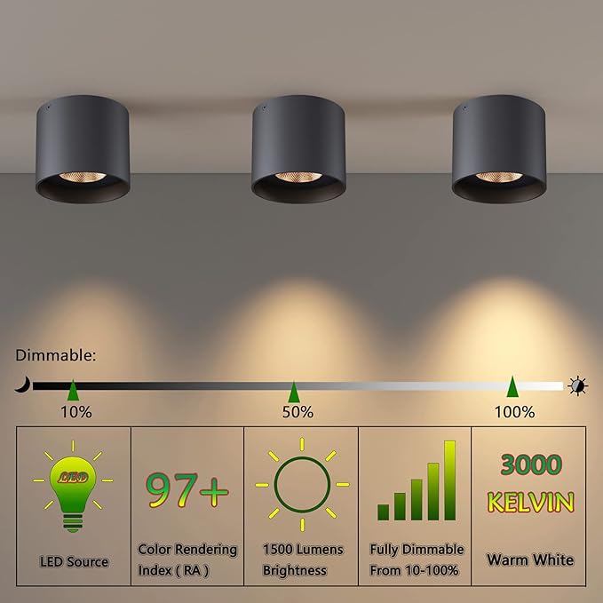 Ceiling Light Fixture, Flush Mount Ceiling Lights LED Dimmable Cylinder Ceiling Light Spot Light for Living Room Hallway Kitchen Dining Room Foyer 3000K 14.5W (Black)
