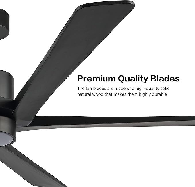 WINGBO 64" DC Ceiling Fan with Lights, 5 Carved Solid Wood Blades, 6-Speed Reversible DC Motor, Matte Black Finish Ceiling Fan with Remote, Black