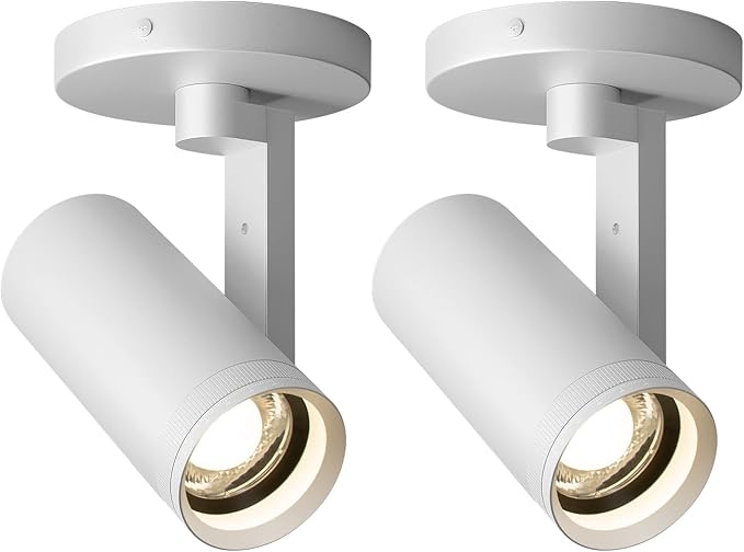 Aisilan Adjustable Dimmable Beam Angle 10-55° Zoomable Spotlight Indoor, 12W Black LED CRI 97 Ceiling Spotlight Fixture, 2 Pack 3000K Modern Wired Accent Lighting for Artwork, Living Room, Mural