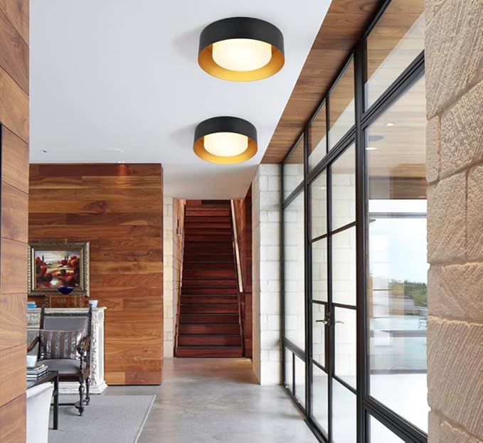 Modern Flush Mount Ceiling Light,Minimalist Close to Ceiling Lighting Fixture,Black and Gold Circular Ceiling lamp for Bedroom,Dining Room,Entry,Hallway,Balcony, Bathroom (12.5'')