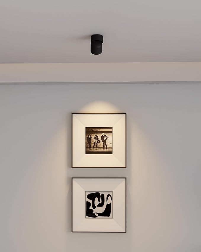 Aisilan 4 Packs LED Dimmable Adjustable Ceiling Spotlight 7W 3000K Aluminum Wired Spotlight Fixtures CRI 97 Surface Mounted Indoor Spot Light for Living Room Hallway Picture Corridor (Black)
