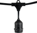 100-ft 50 Suspended Sockets E26 Commercial Patio Light Stringer, Heavy Duty Weatherproof SJTW Black Wire, 24" Spacing, 16 Gauge Wire, Stringer Only