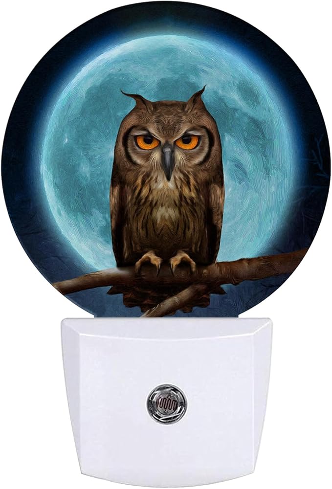 Owl Moon Night Light LED Lamp Round Plug into Wall Nightlight with Dusk to Dawn Sensor Home Hallway Stairway Kitchen Decor