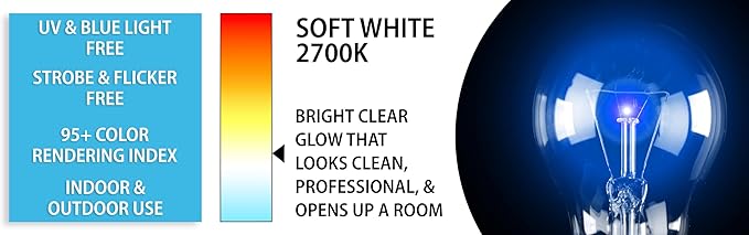 Mandala Crafts Clear 25 Watt Blue Light Bulbs E26 Medium Base 120V 25W Blue Bulbs