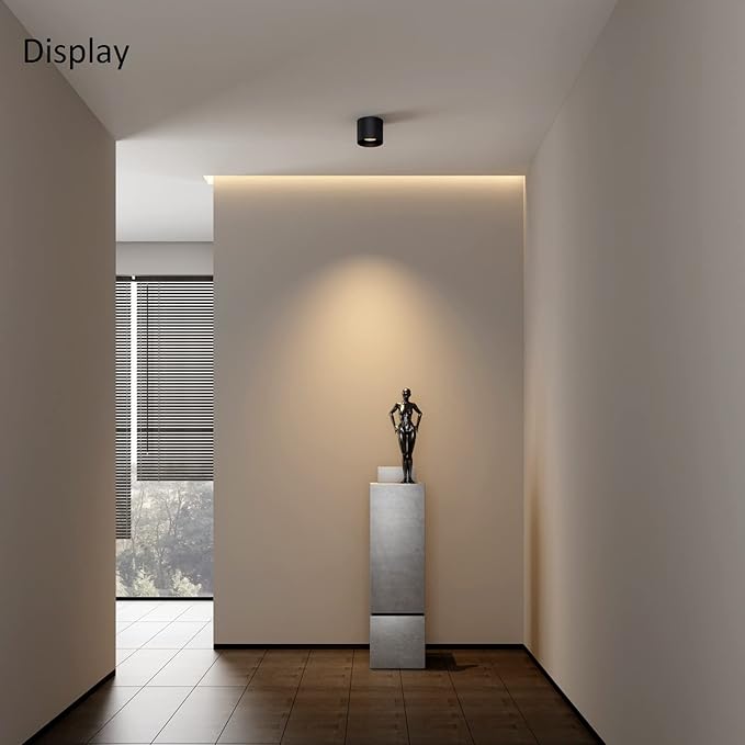 Ceiling Light Fixture, Flush Mount Ceiling Lights LED Dimmable Cylinder Ceiling Light Spot Light for Living Room Hallway Kitchen Dining Room Foyer 3000K 14.5W (Black) 2-Pack