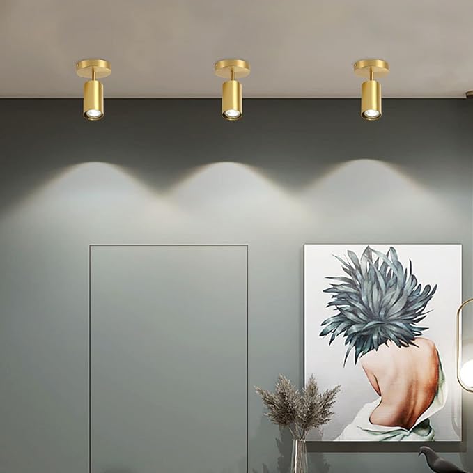 BOKT Gold Adjustable Track Lighting Modern LED Ceiling Spotlight 2 Pack Flexible Rotatable Wall Sconce Indoor Spotlight for Bedroom Living Room Kitchen Dining Room…