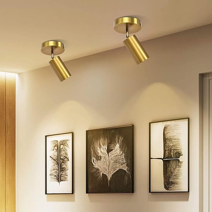 BOKT Gold Adjustable Track Lighting Modern LED Ceiling Spotlight 2 Pack Flexible Rotatable Wall Sconce Indoor Spotlight for Bedroom Living Room Kitchen Dining Room…