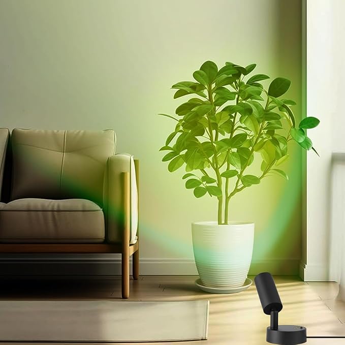 Spot Light with Remote Control Indoor, RGBW Color Changing Wall Light, Mini Spot Lights for Plant, Painting, Artwork, Accent Lighting 2 Pack (Black)