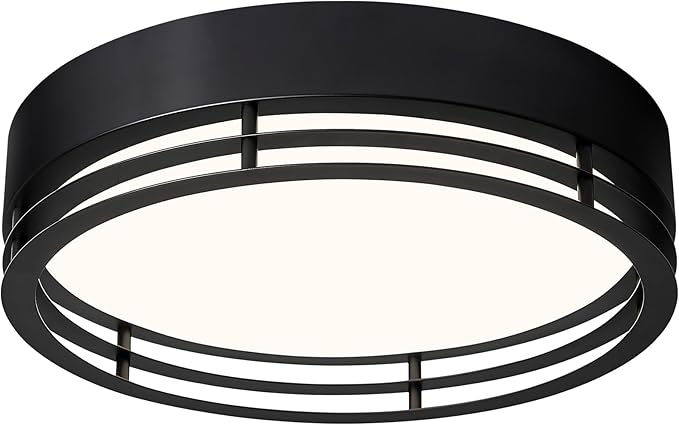 Dimmable Black Flush Mount Ceiling Light, Modern Round LED Ceiling Lights Fixture, Kitchen Flushmount Light for Bedroom Hallway Kitchen 2700 K-6000 K 5CCT