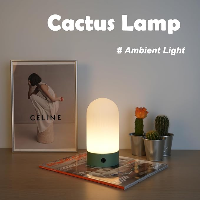Battery Operated Shower Lamp Waterproof, Small Portable Cordless Table Lamp Rechargeable, Touch Dimmable Mood Light for Home/Patio/Dining/Outdoor (White)