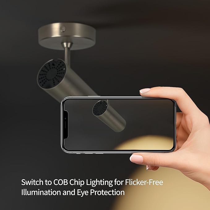 Spotlight Dimmable Ceiling Spot Lights Indoor LED Art Light 12W Accent Lighting for Home Corridor Living Room Bedroom, 3000K CRI97+ Brushed Nickel Finish