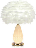 Feather Table Lamp with Cracked Ice Glass Bottle & Gold Base, 2 Separate Lights with Independent On/Off Control, 3-Color Mode Bedside Office Lamp (White)