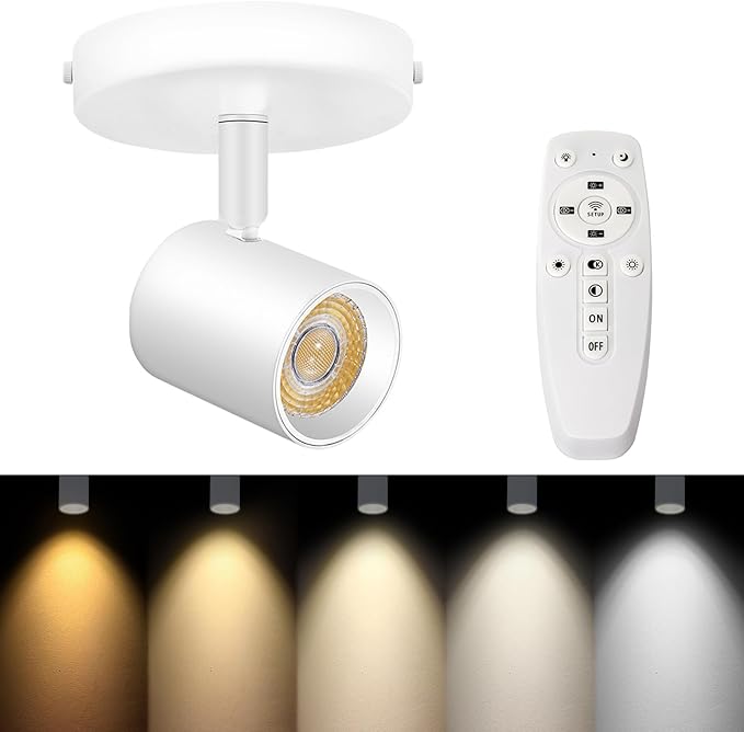 Remote Control Ceiling Spotlight Flush Mount Adjustable Directional LED Spot Lights Indoor Dimmable Accent Fixture for Art Picture Living Room - Bright CRI90+ 24° Flicker Free 10W 800lm White