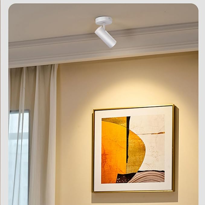 LED Dimmable Ceiling Spotlight Adjustable Ceiling Mounted Directional Spot Light 4.72'' Aluminum Indoor Monopoint Light for Living Room Painting CRI 98 12W 3000K White