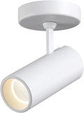 12W LED Monopoint Ceiling Spotlight Indoor - Adjustable Surface Accent Lamp for Corridor, Warm White 3000K, CRI 97 Anti-Glare Picture Painting Spot Light Fixtures, White