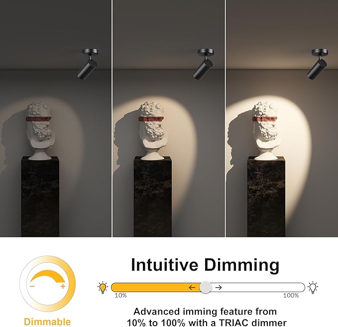 9W LED Dimmable Ceiling Spotlight Indoor - Adjustable Surface Wired Accent Lamp, Warm White 3000K, CRI 97, Perfect for Picture Painting Monopoint Spot Light Fixtures, Black