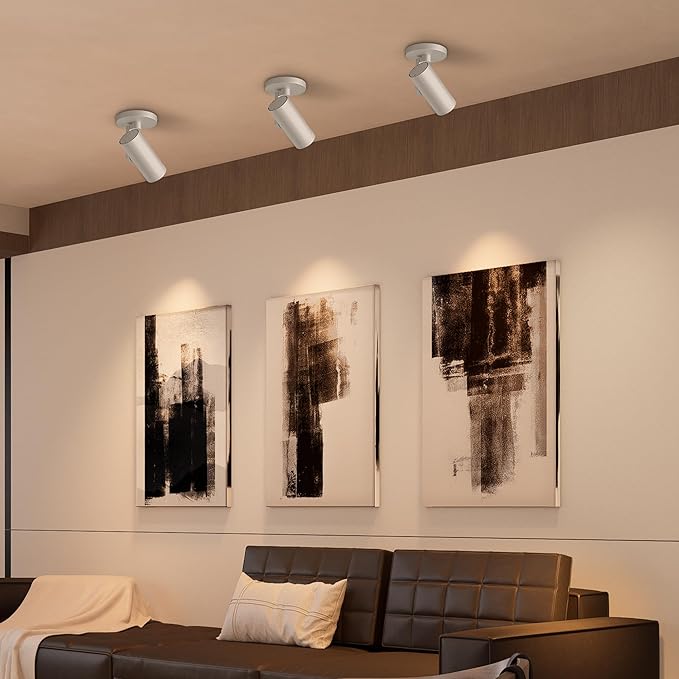 Aisilan Adjustable Dimmable Beam Angle 10-55° Zoomable Spotlight Indoor, 12W Black LED CRI 97 Ceiling Spotlight Fixture, 2 Pack 3000K Modern Wired Accent Lighting for Artwork, Living Room, Mural