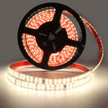 LED Lights 3.28ft AC 110 Volts LED Strip Lights Flexible Cuttable Rope Light 240LEDs/m 4000K SMD 2835 White Tape Lights with Adhesive for Bedroom Indoor Outdoor Cabinet Lighting
