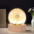 Dandelion Lamp,2.4-Inch Flower Crystal Ball Night Light, Real Dandelion Inside with Wood Base, Warm Bedroom Glow (Whiete Dandelion)