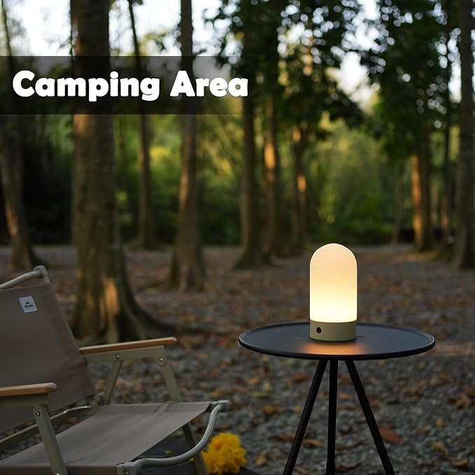 Battery Operated Shower Lamp Waterproof, Small Portable Cordless Table Lamp Rechargeable, Touch Dimmable Mood Light for Home/Patio/Dining/Outdoor (Black)