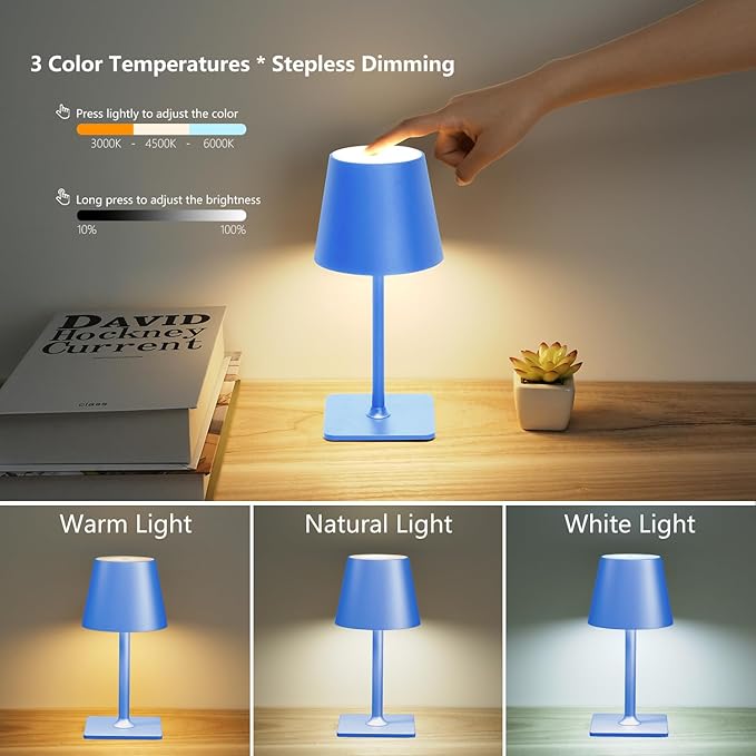 Blue Cordless Table Lamp Set of 2, Indoor/Outdoor Table Lamp for Restaurant Home Dinner Patio Pinic