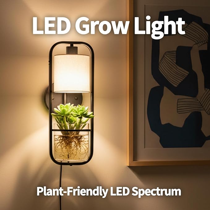 Hydroponic Planter Lamp with Grow Light, Modern Glass Table Light for Indoor Plants, LED Lamps, Home Office Desk Decor, Gift for Plant Lovers