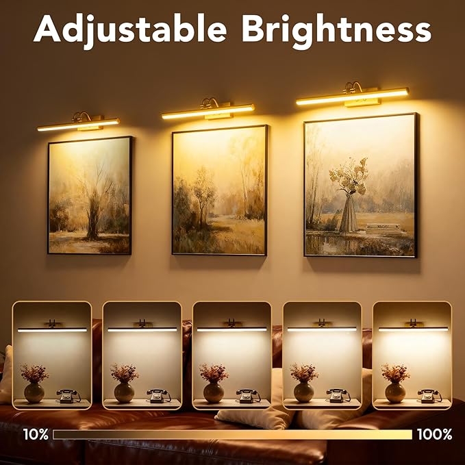 Picture Light,Picture Lights for Wall Cordless,20" Picture Lights with Timer and Dimmable,Battery Wall Lights for Display Gallery Painting Art Frame Portrait