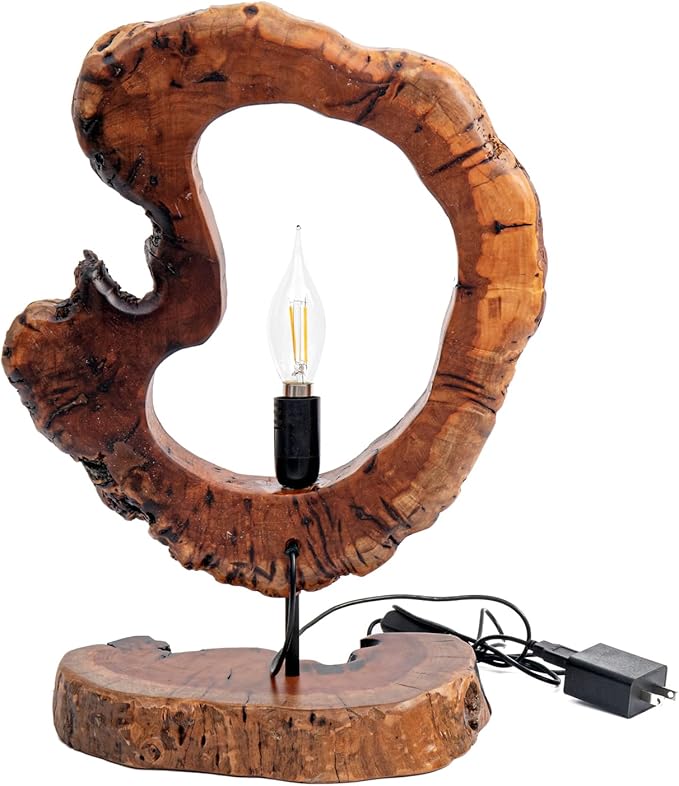 LAPTAIN Wood Table Lamp, Irregular Jujube Tree Wooden Bedside Lamp, Creative Home Decor Table Lamp, Bedside Night Light for Bedroom, Living Room, E12, ON-Off Button,Wood Base
