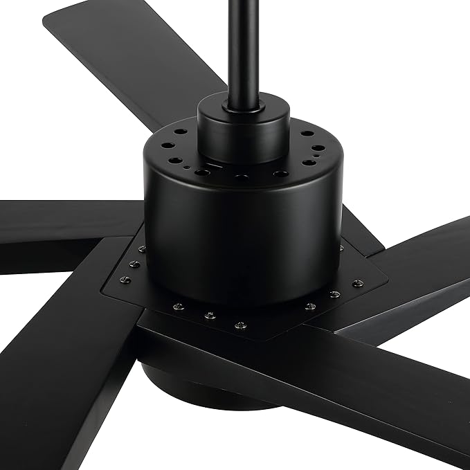 WINGBO 64" DC Ceiling Fan with Lights, 5 Carved Solid Wood Blades, 6-Speed Reversible DC Motor, Matte Black Finish Ceiling Fan with Remote, Black