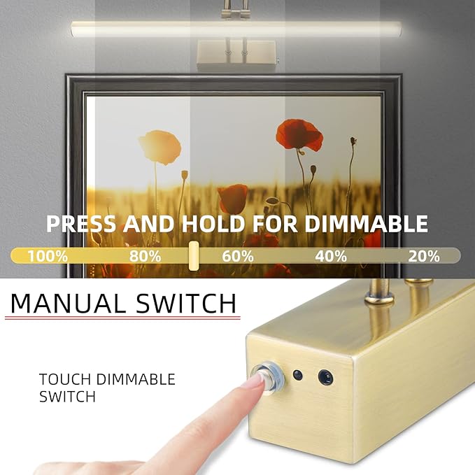 Picture Light,Picture Lights for Wall Cordless,20" Picture Lights with Timer and Dimmable,Battery Wall Lights for Display Gallery Painting Art Frame Portrait-AB